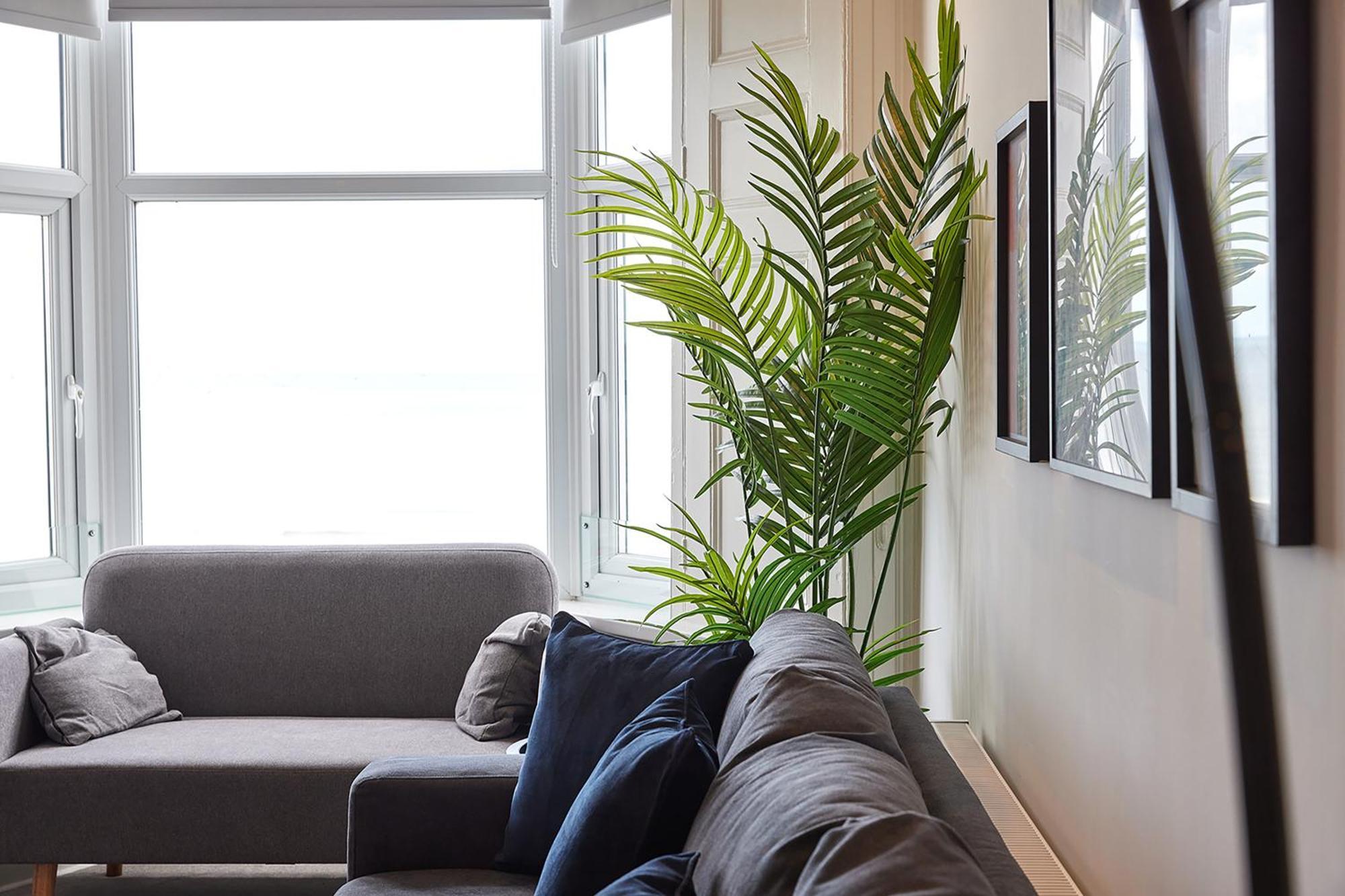 5 Roker Terrace - Seaview Apartments サンダーランド エクステリア 写真